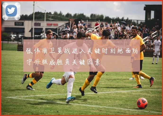 张伟丽卫冕战进入关键时刻地面防守升级成胜负关键因素